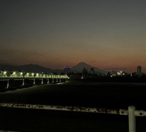 自転車部【黒俣の大イチョウサイクリング】